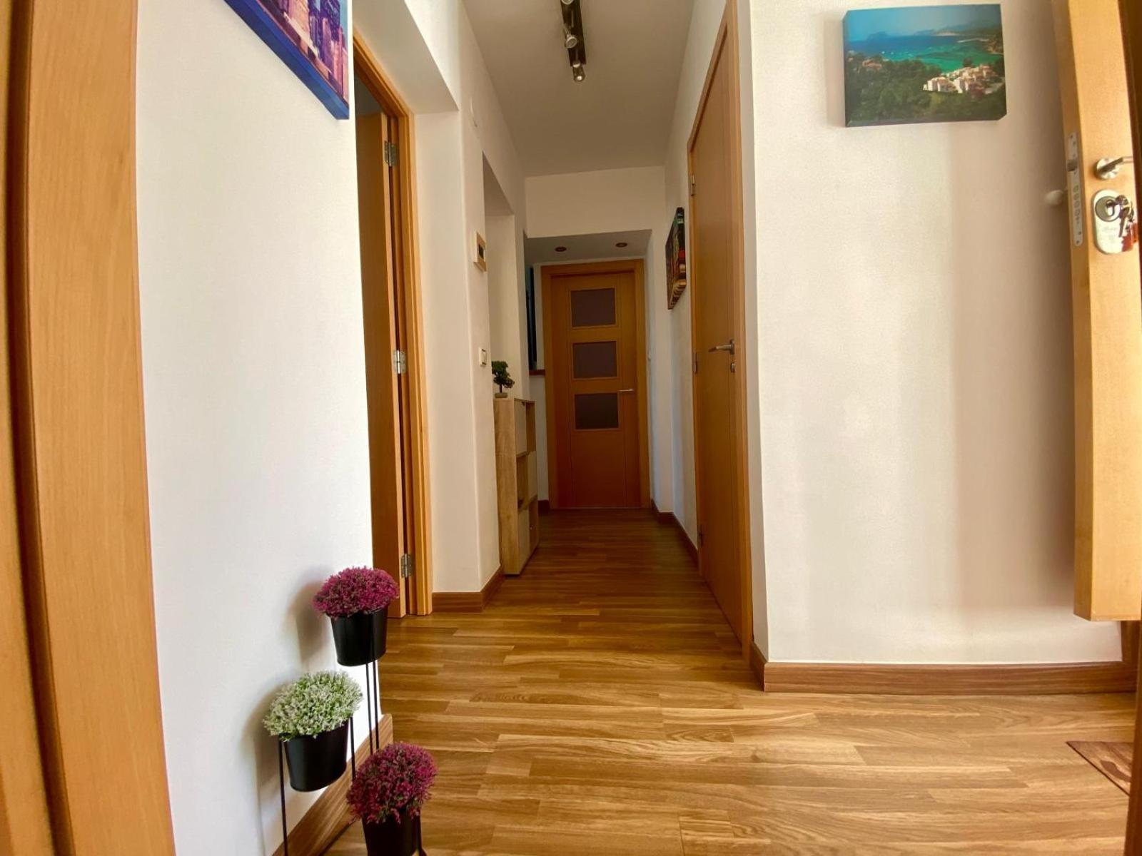 Apartamento Monica Calpe Exteriör bild