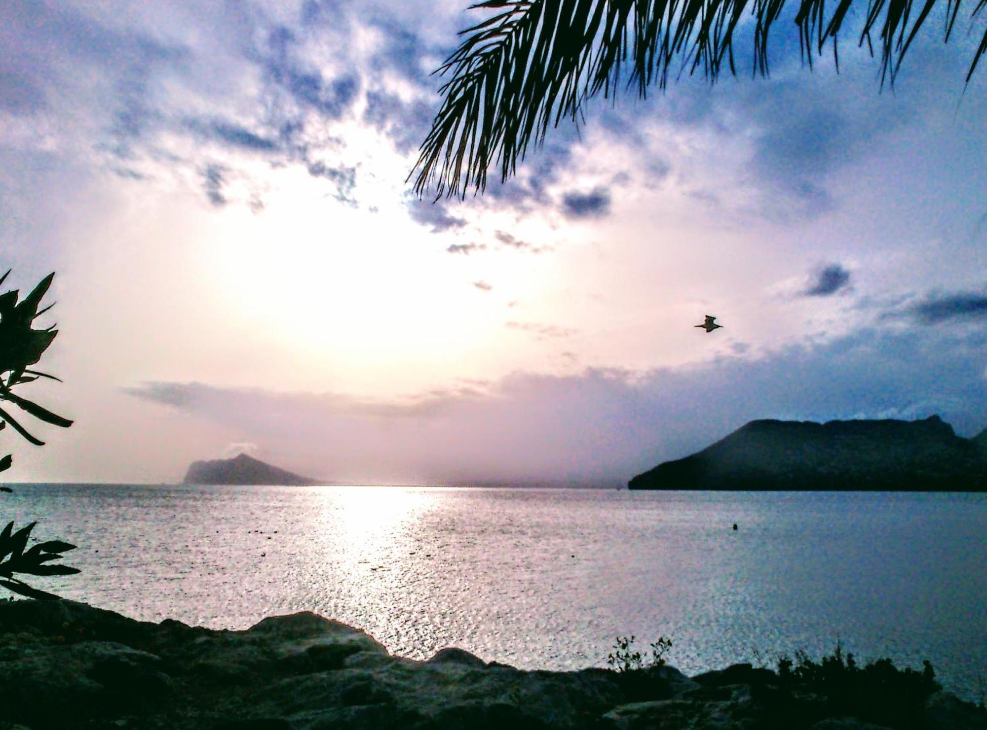 Apartamento Monica Calpe Rum bild